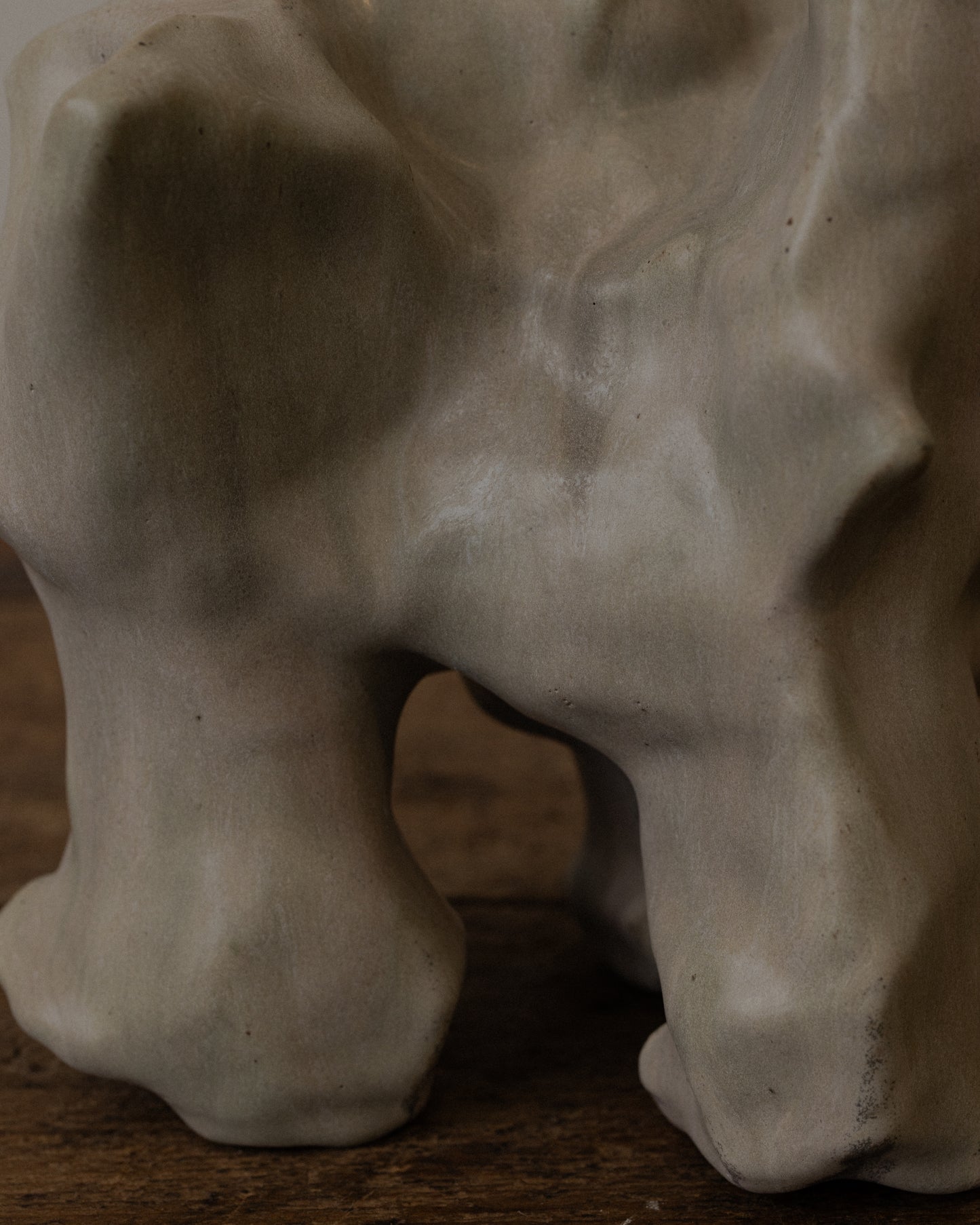 "Elephant in the Room" by Mark Segal