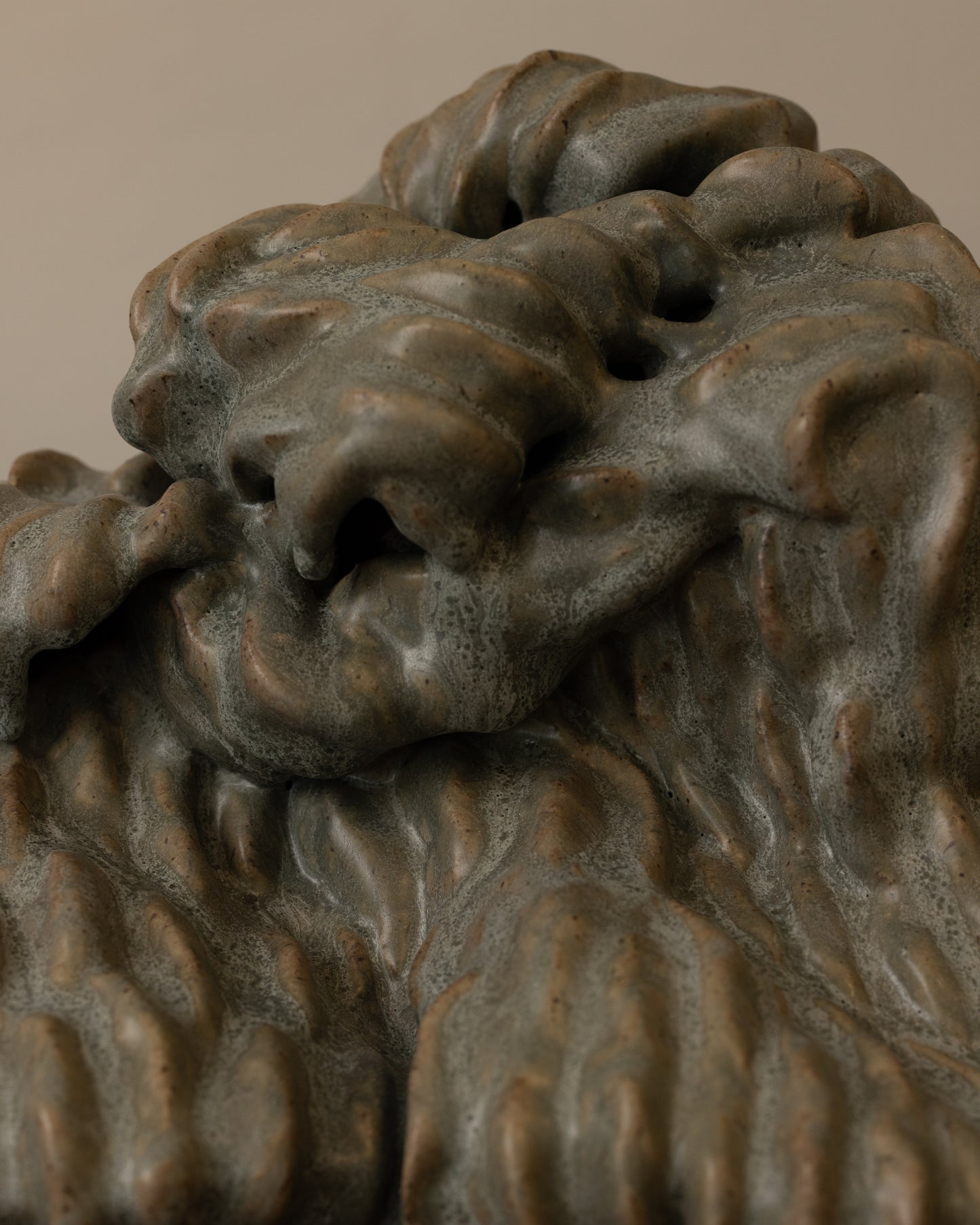“Lion Fight” by Mark Segal