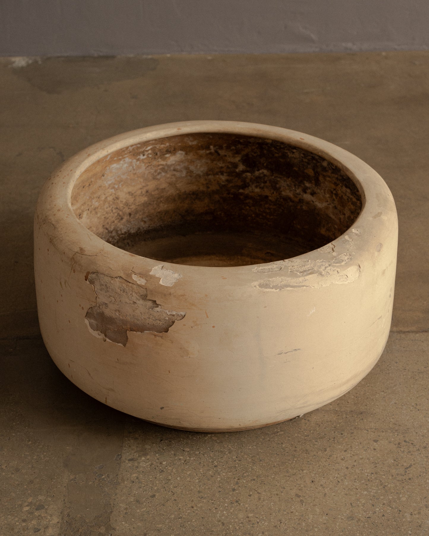 Tire Planter by David Cressey
