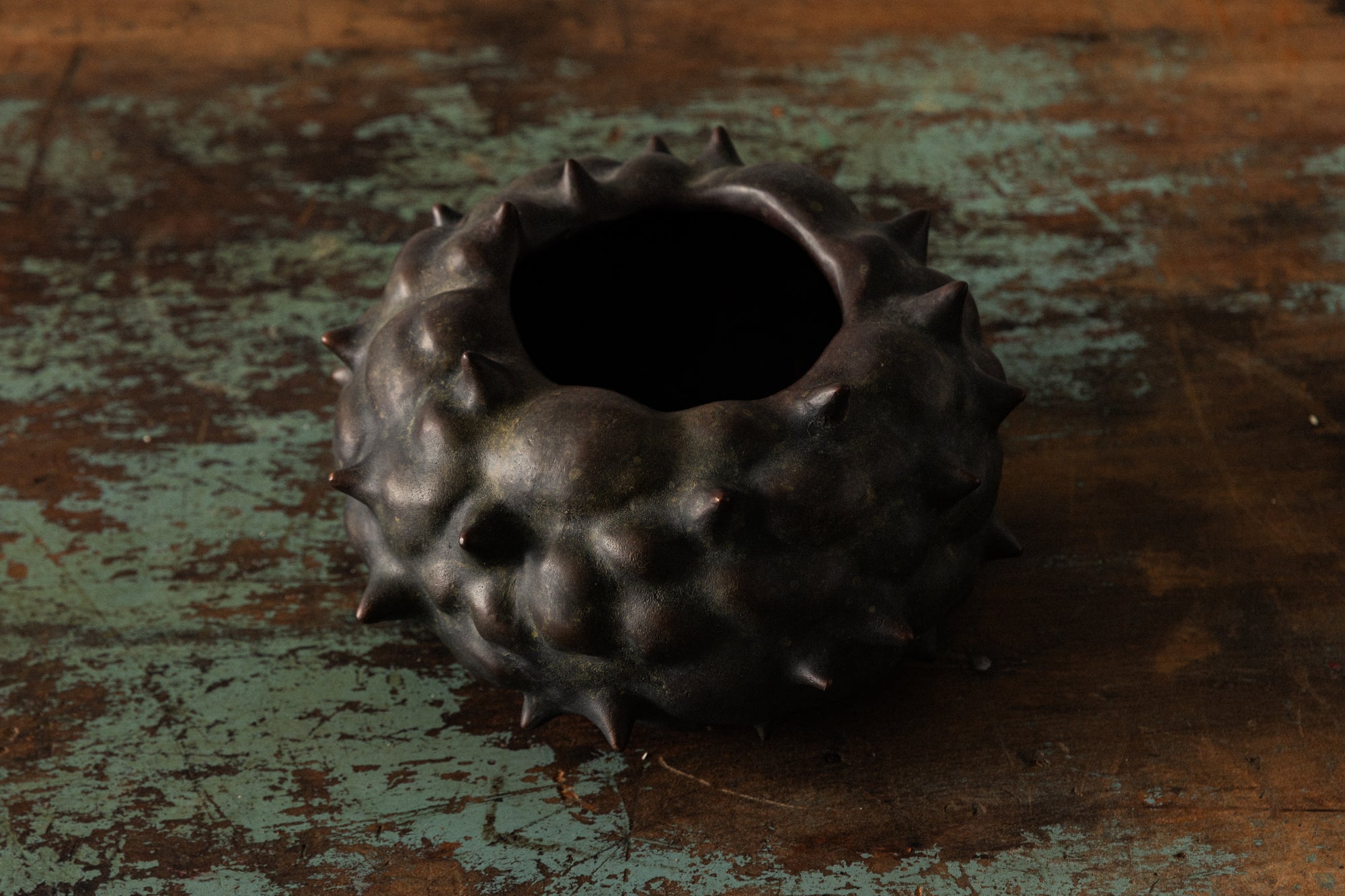 Bronze Thorn Bowl by Mark Segal