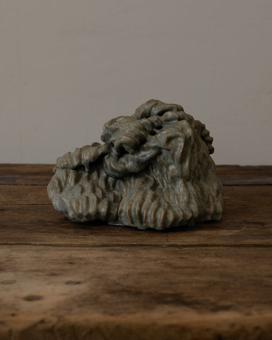 “Lion Fight” by Mark Segal