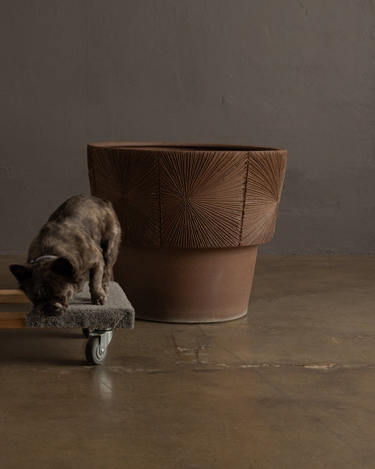 Textured Planters by Robert Maxwell